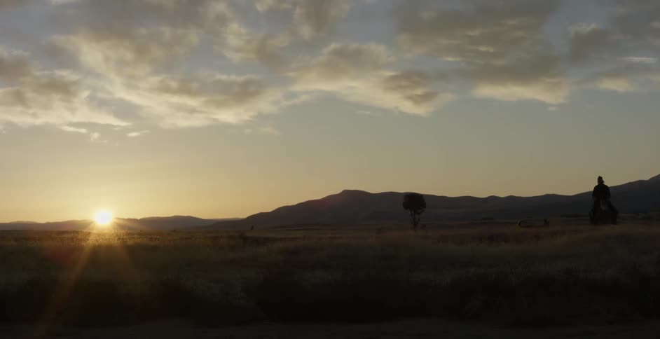 A dog runs beside a man on a horse in a field at sunset
