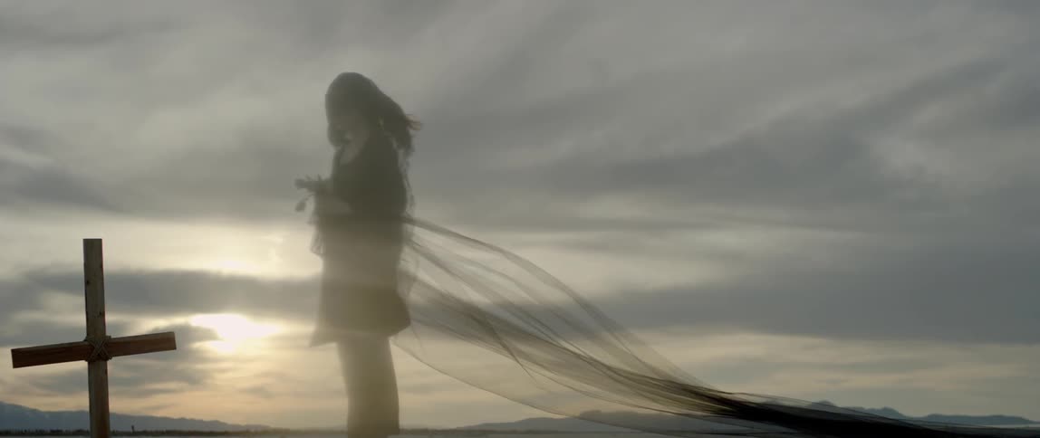 Woman wearing a long veil holds flowers in a desert