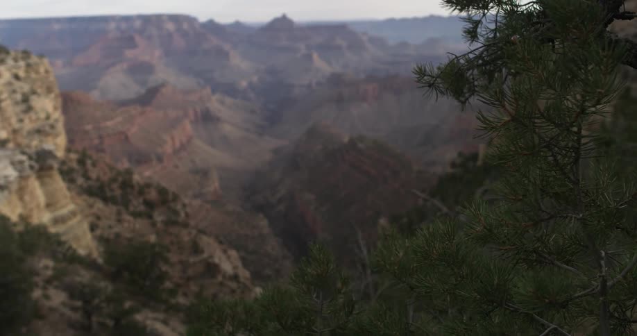 A large, tree lined canyon