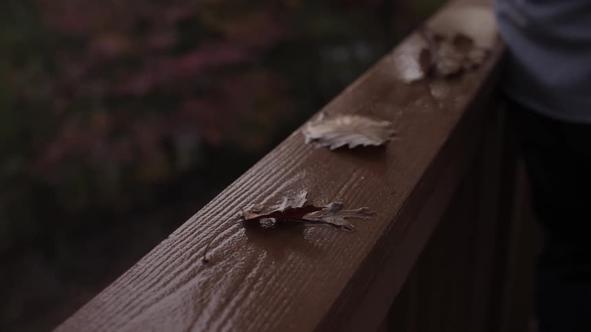 Autumn leaves rest on the wooden railing a person is leaning against