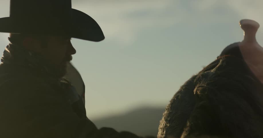 A man grooms his horse on a windy day