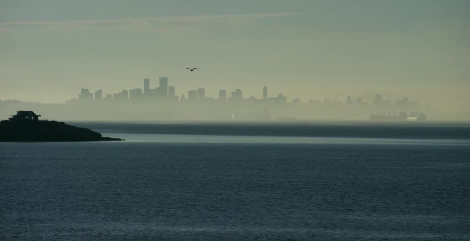 A waterside city shrouded in fog