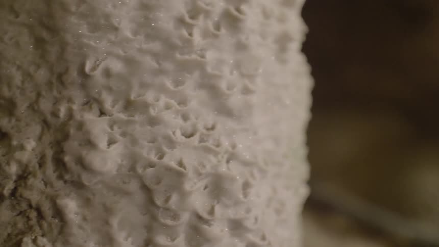 A tall sparkling cake