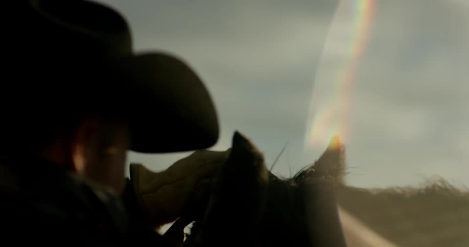 A man wraps a cloth around a horse's bridle