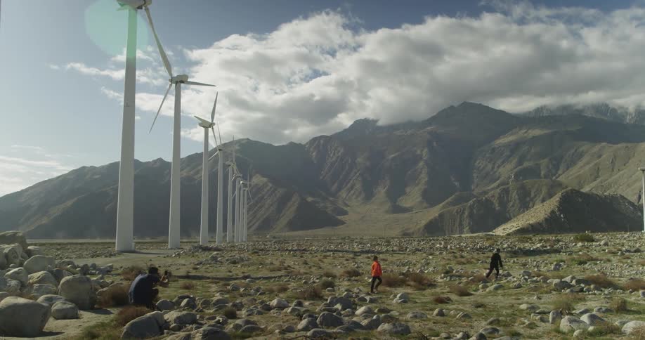 Children and a dog walk through a field next to windmills