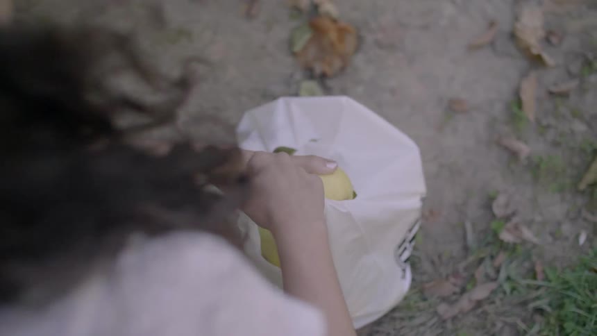 A woman is putting apples into a bag