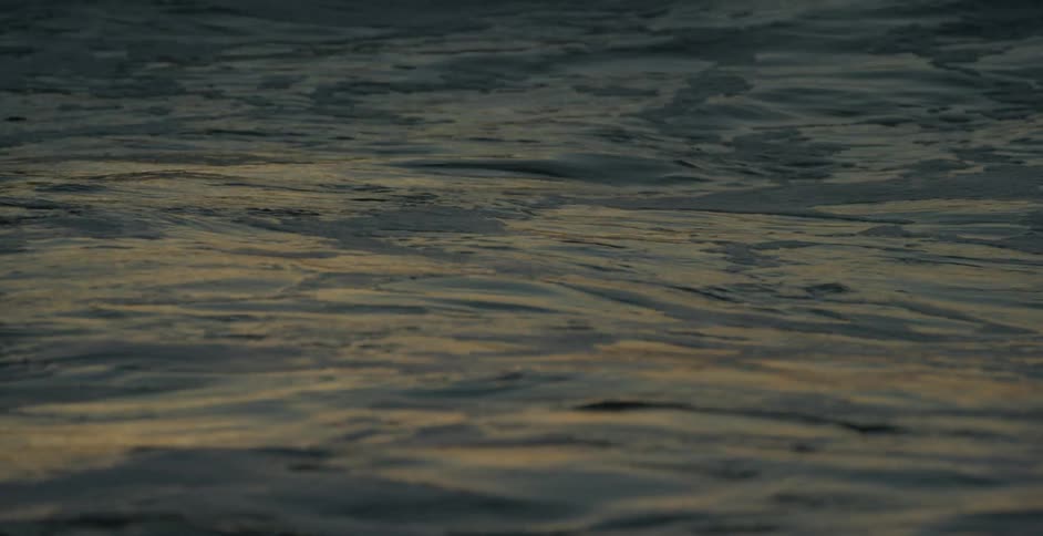 Close up of rolling water waves