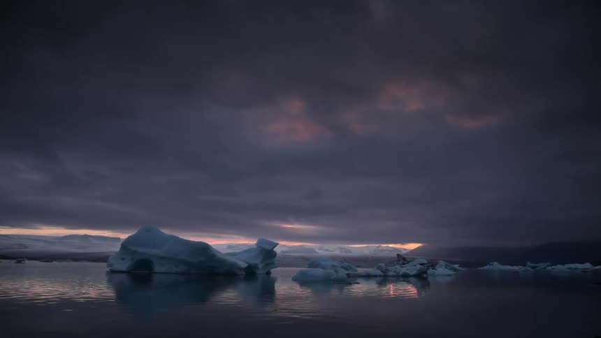 A bird flies above flowing water between icebergs