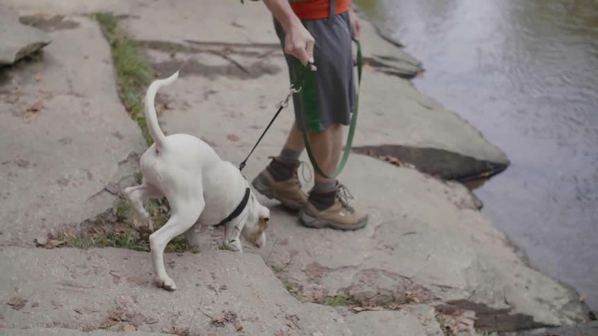 A man stands with a leashed dog next to a river