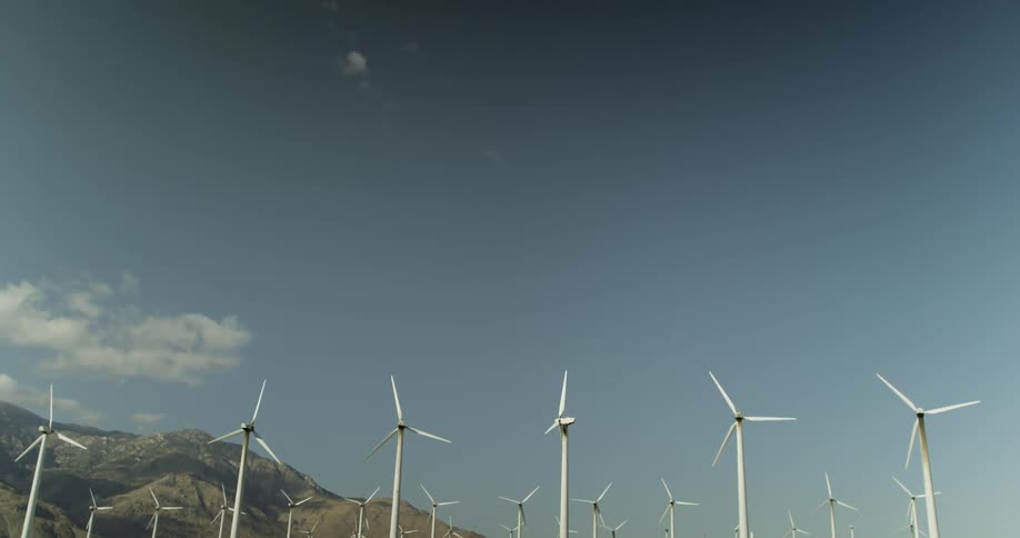 Wind turbines stand motionless on a sunny day