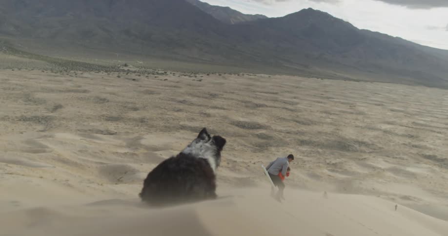 Dog watches as man holds a boy and sits down in the sandy desert