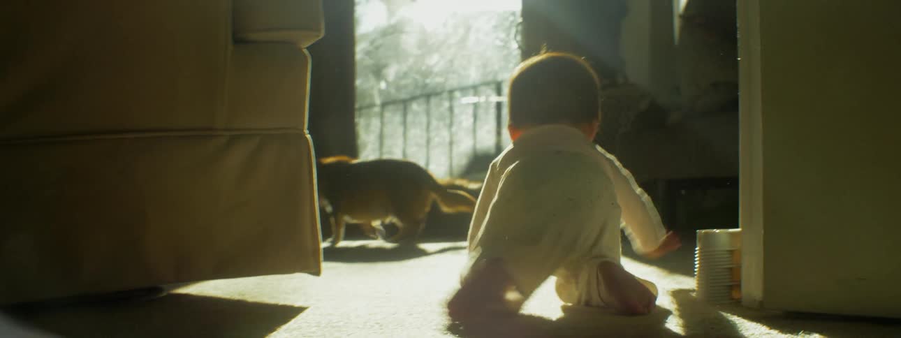 A young infant crawls towards a small dog