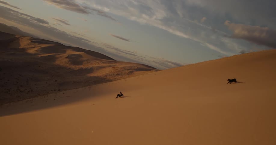 A person slides down a sand dune with a dog running behind