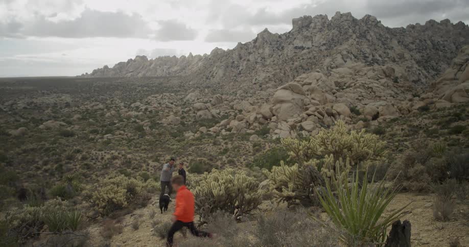 People are hiking in the desert with a dog
