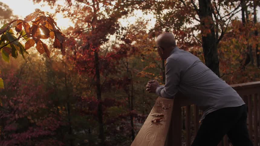 Man leans over a railing looking at trees