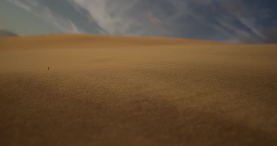 Wind blows over sand in the desert