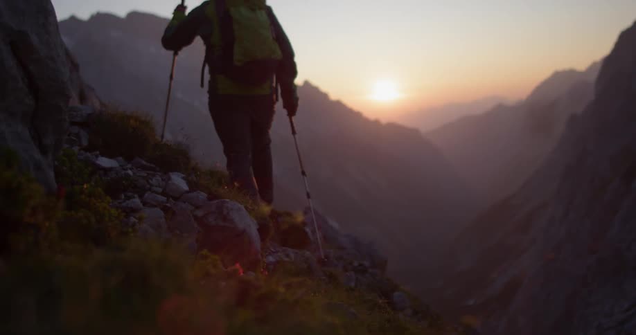 Flowers and grass bristle as a man climbs up a hillside