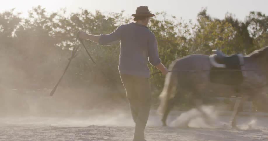 A man is leading a horse in a circle