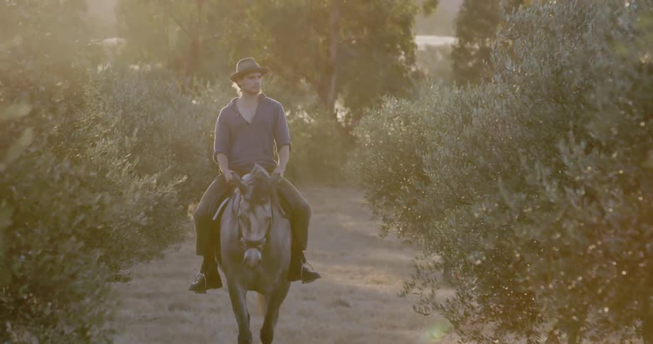 A man rides a horse on a trail between trees and bushes