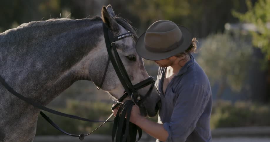 A man pets a horse and adjusts its harness