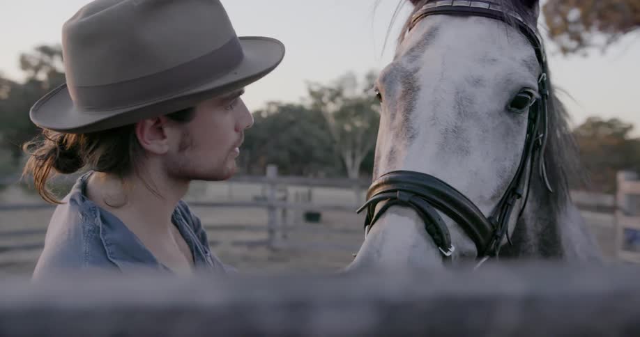 A man strokes the forehead of a horse