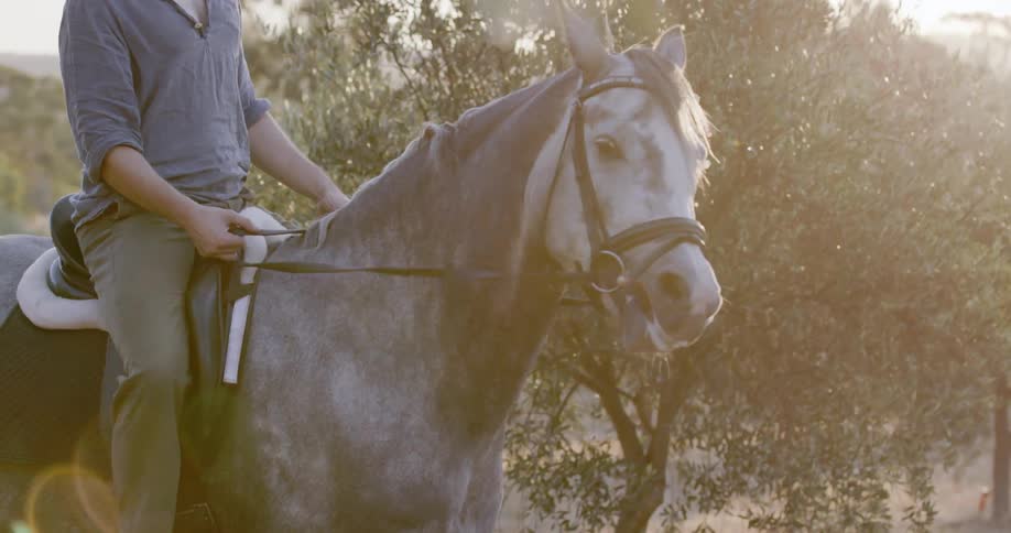 A man sitting on a horse while it grazes