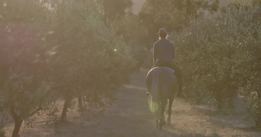 A man rides a horse at sunset