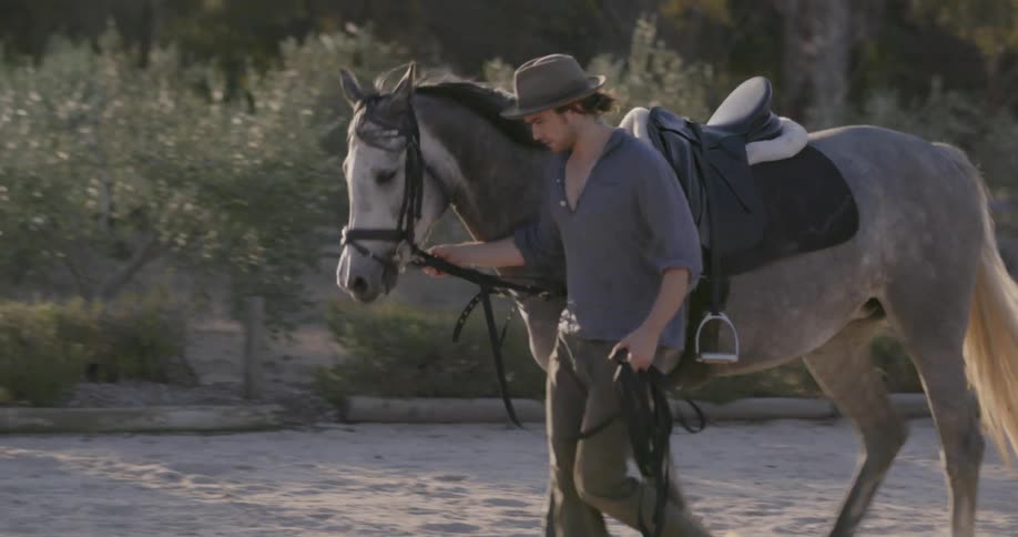A man walks a saddled horse on a sandy yard