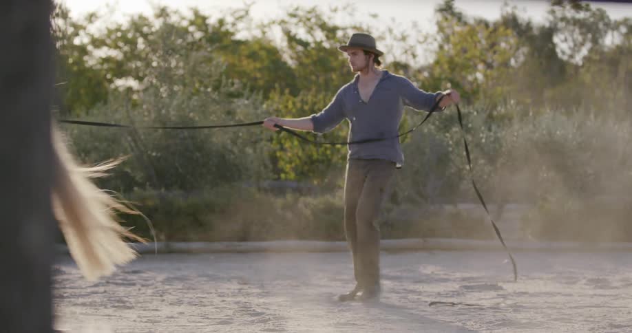 A man leads a horse on a tether in circles in an exercise ring