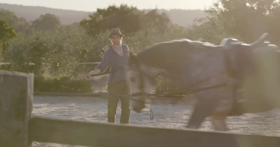 A man leads a horse in circles