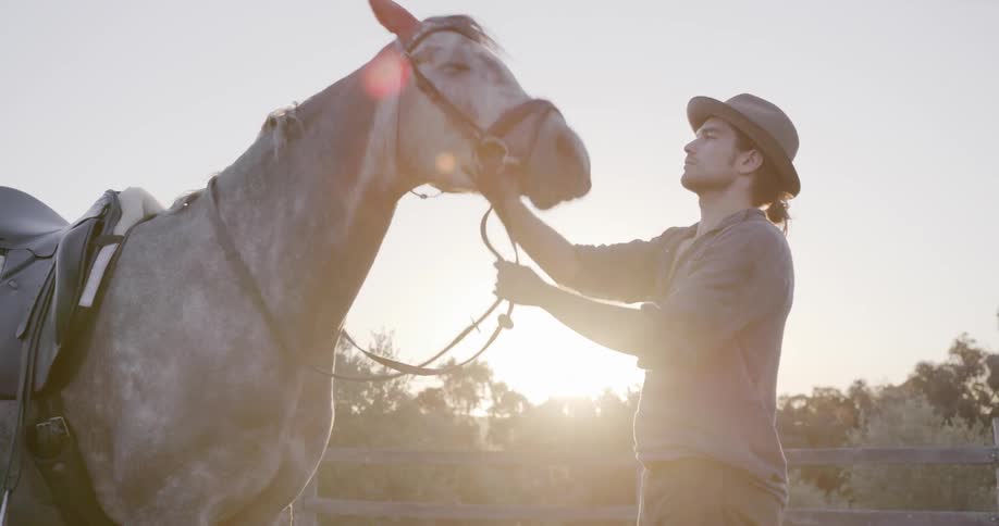 A man is petting and playing with a horse outside during the day
