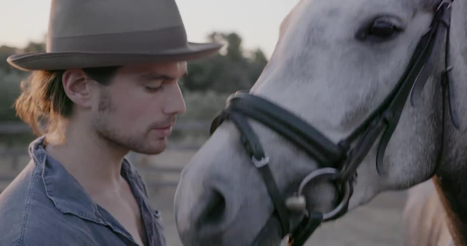 A man is grooming his horse on a ranch