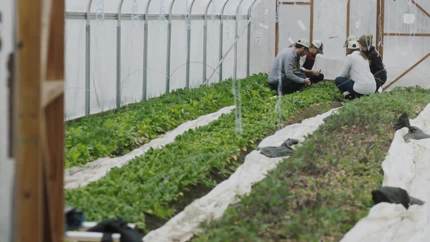 A group of people are working together in a garden
