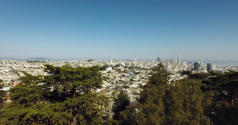 Tall trees are on the hill before the city ahead