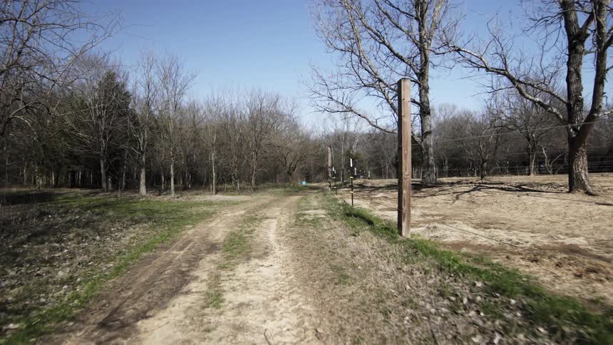 A dirt road leads into the woods