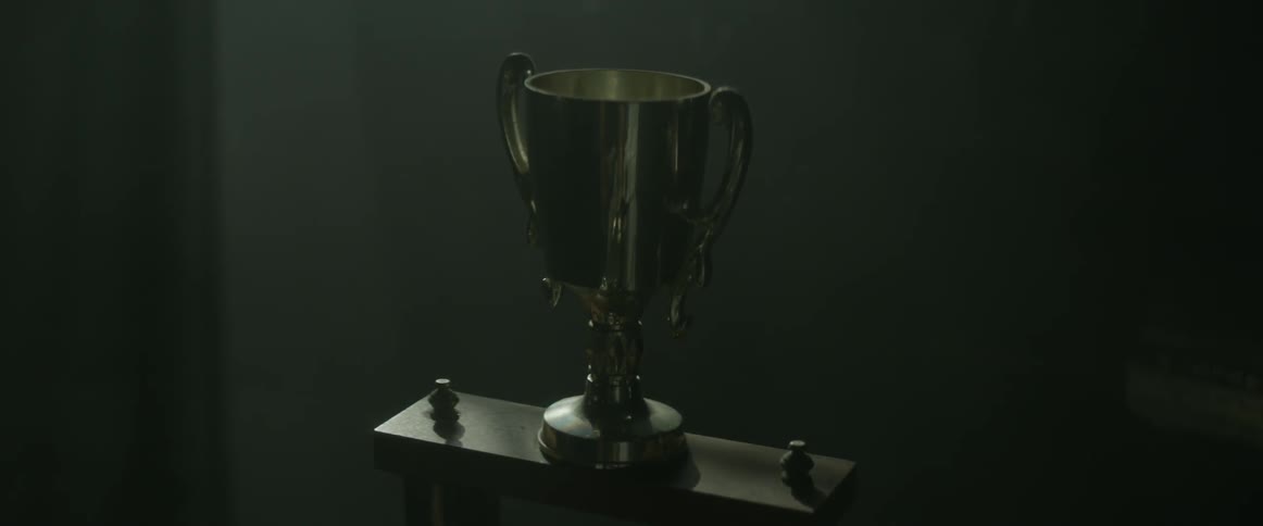 A trophy in a dimly lit room