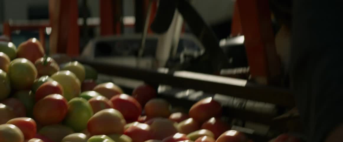 A man picks up apples from a pile