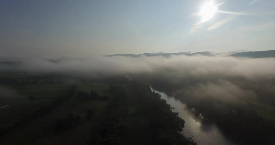 A river runs near rows of trees and green fields