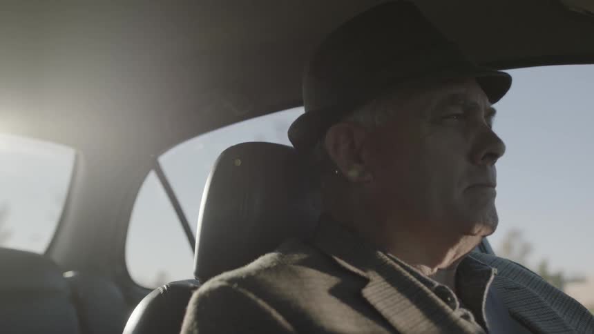 A man drives a car on a sunny day