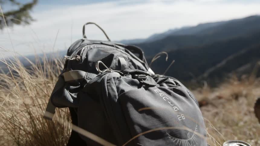 A backpack resting on the ground in tall brown grass