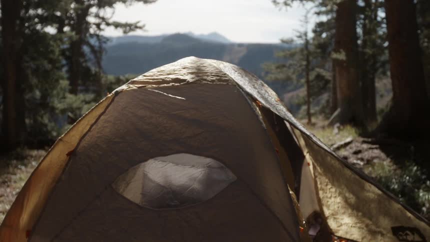 A tent set up in a small clearing in the forest