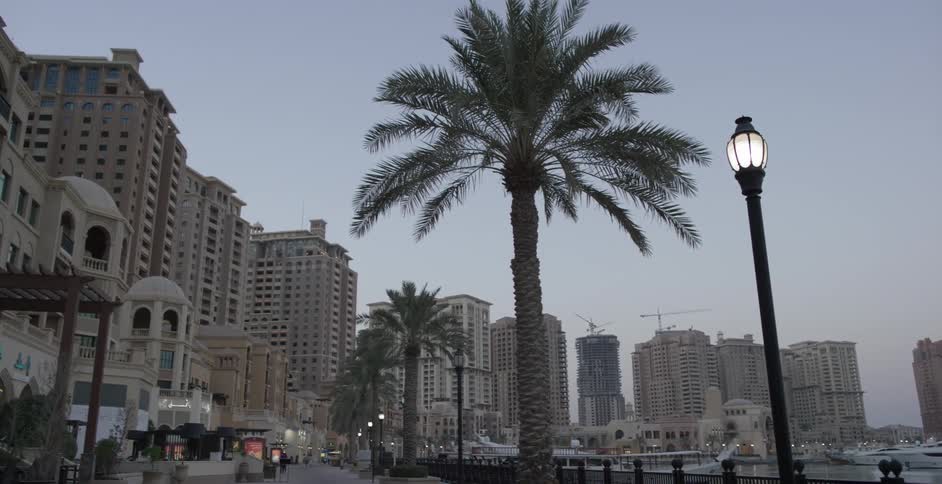 Palm trees grow near city buildings