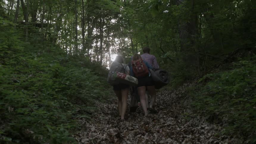 A group of people hike up a path in a forest