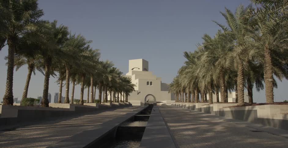 Birds fly near a white building and palm trees