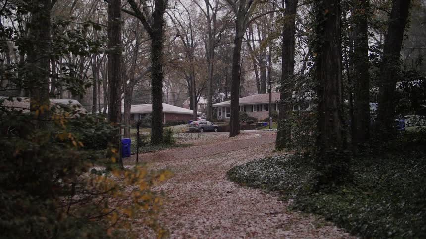 Snow falls around trees in a neighborhood