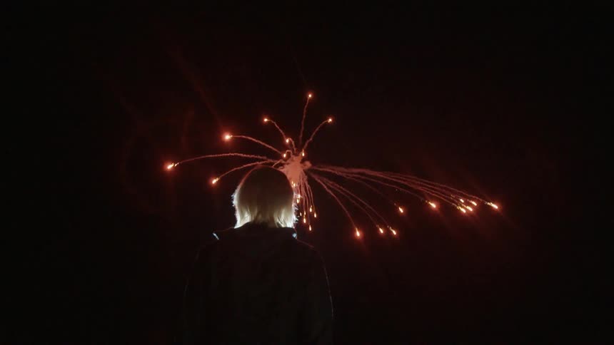 A person with blonde hair watches fireworks in a black sky