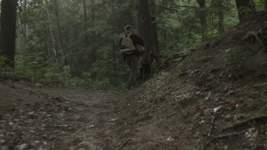 A hiker walks in the woods