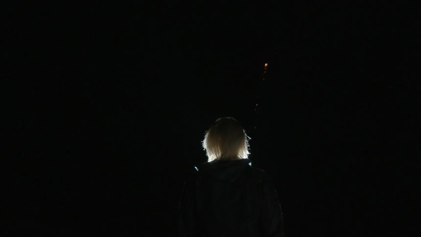 A person watches as a firework lights up in the sky