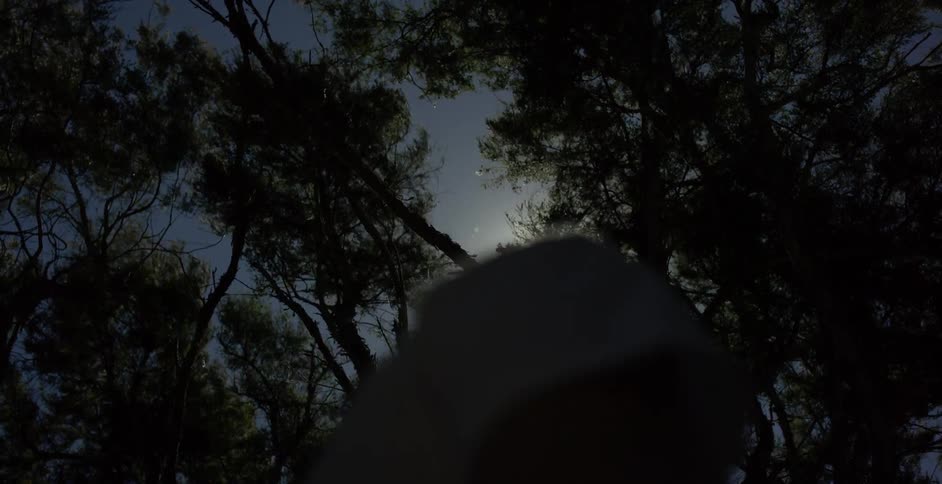 A man walks beneath a tree on a sunny day