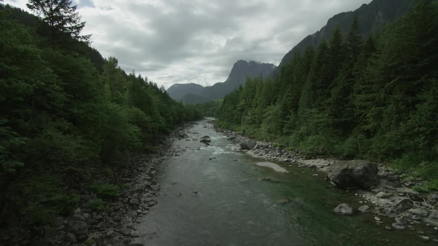 A view of a creek between two forests and a mountain in the distance